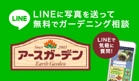 野菜づくりのご質問や「これって病気？」などの不安をLINEで写真を送るだけで専門家が解決します！