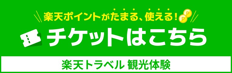 楽天トラベル 観光体験